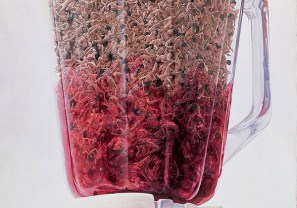 bibl2-Αντιγραφή