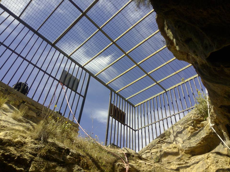 12993527_569965399838137_2140793795281952806_n