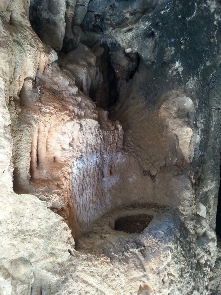 12994449_1137004196343760_5003026055036097235_n