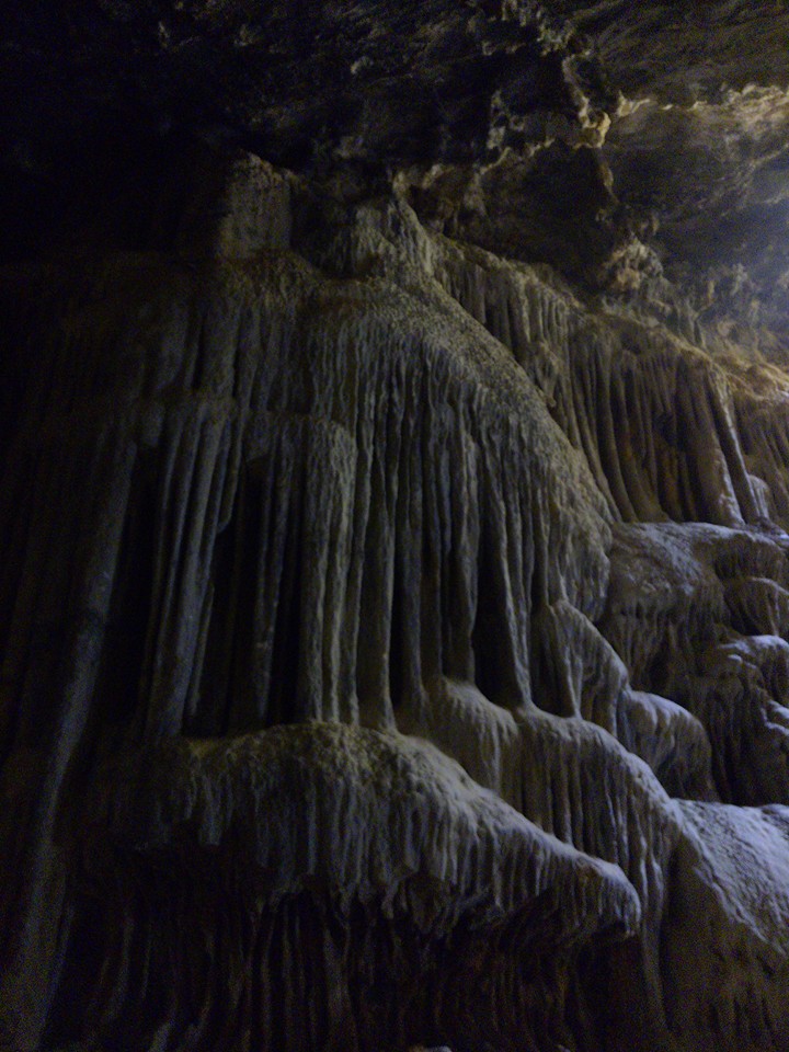 12994588_569965686504775_7167645986181075889_n