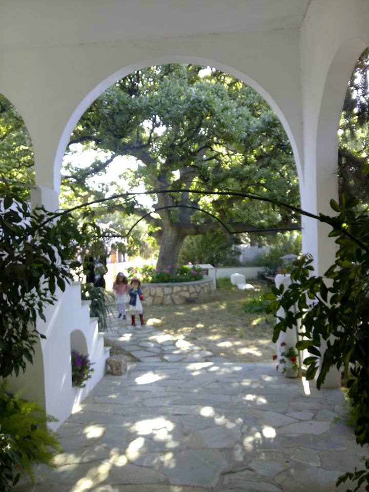 13043526_569965186504825_4665352918786451698_n