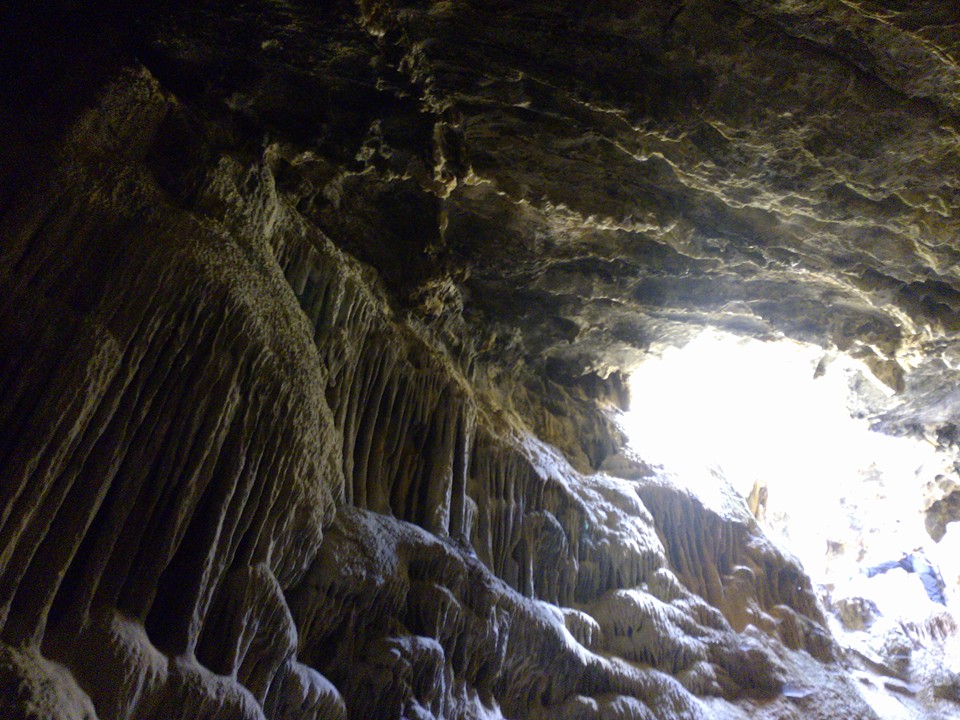 13043528_569965719838105_8750515478190029132_n