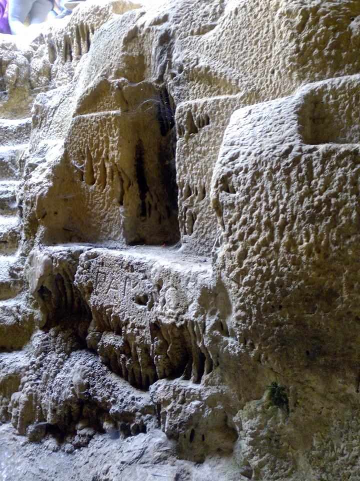 13055363_569966079838069_6578117726975694811_n