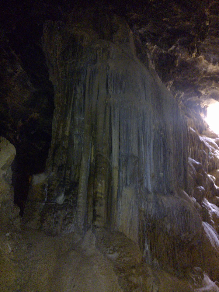 13055583_569965586504785_177238601415326082_n