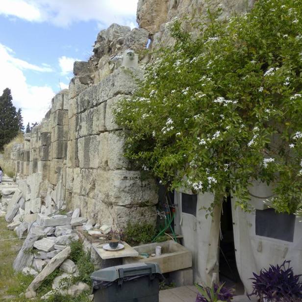 13173627_10209487486003398_3550306446716421003_n