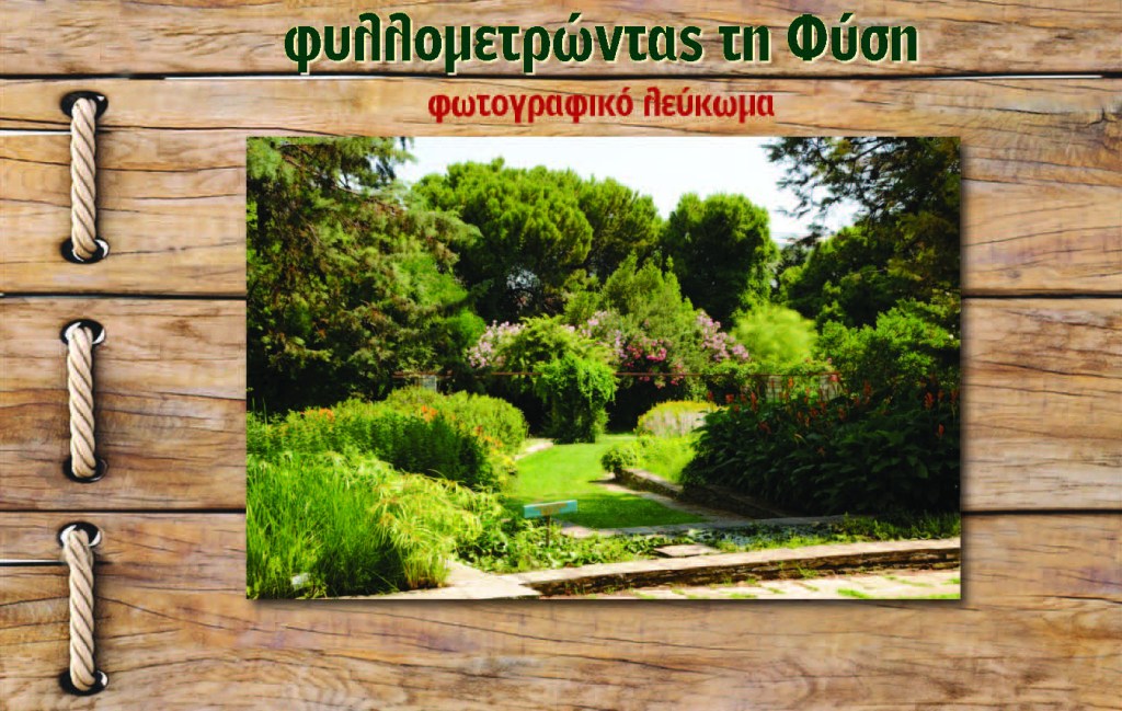 ΚΟΣΜΟΠΟΛΙΣ- Η Περιπατητική Φιλοσοφική Σχολή θα συναντηθεί στο Βοτανικό Κήπο «ΙΟΥΛΙΑΣ & ΑΛΕΞΑΝΔΡΟΥ&nbsp;ΔΙΟΜΗΔΟΥΣ»!