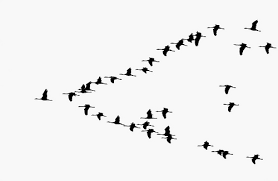 Διάλεξη του ΚΟΣΜΟΠΟΛΙΣ με ομιλητή το δρ Λεωνίδα Μπίλλη, με θέμα: «ΗΓΕΣΙΑ, από τον Πλάτωνα μέχρι τον Γεώργιο Πλήθωνα Γεμιστό»