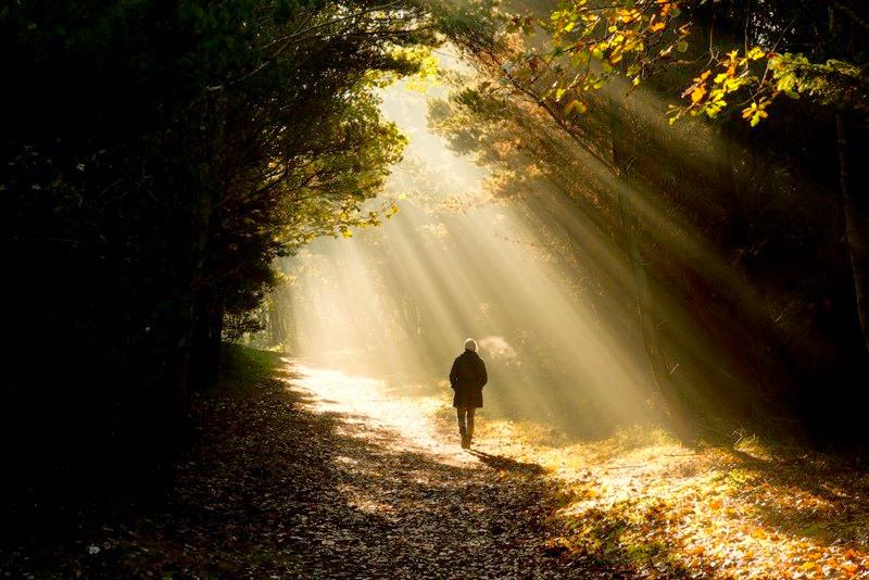 Ο πνευματικός δρόμος του προσωπικού&nbsp;υποδείγματος!