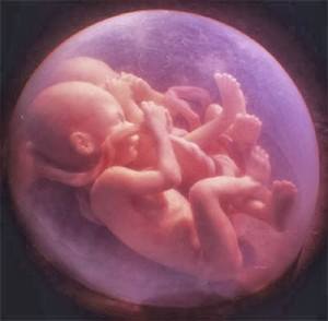 Υπάρχει Θεός; Είναι παντού! Ο Πανταχού Παρών και τα Πάντα&nbsp;Πληρών!