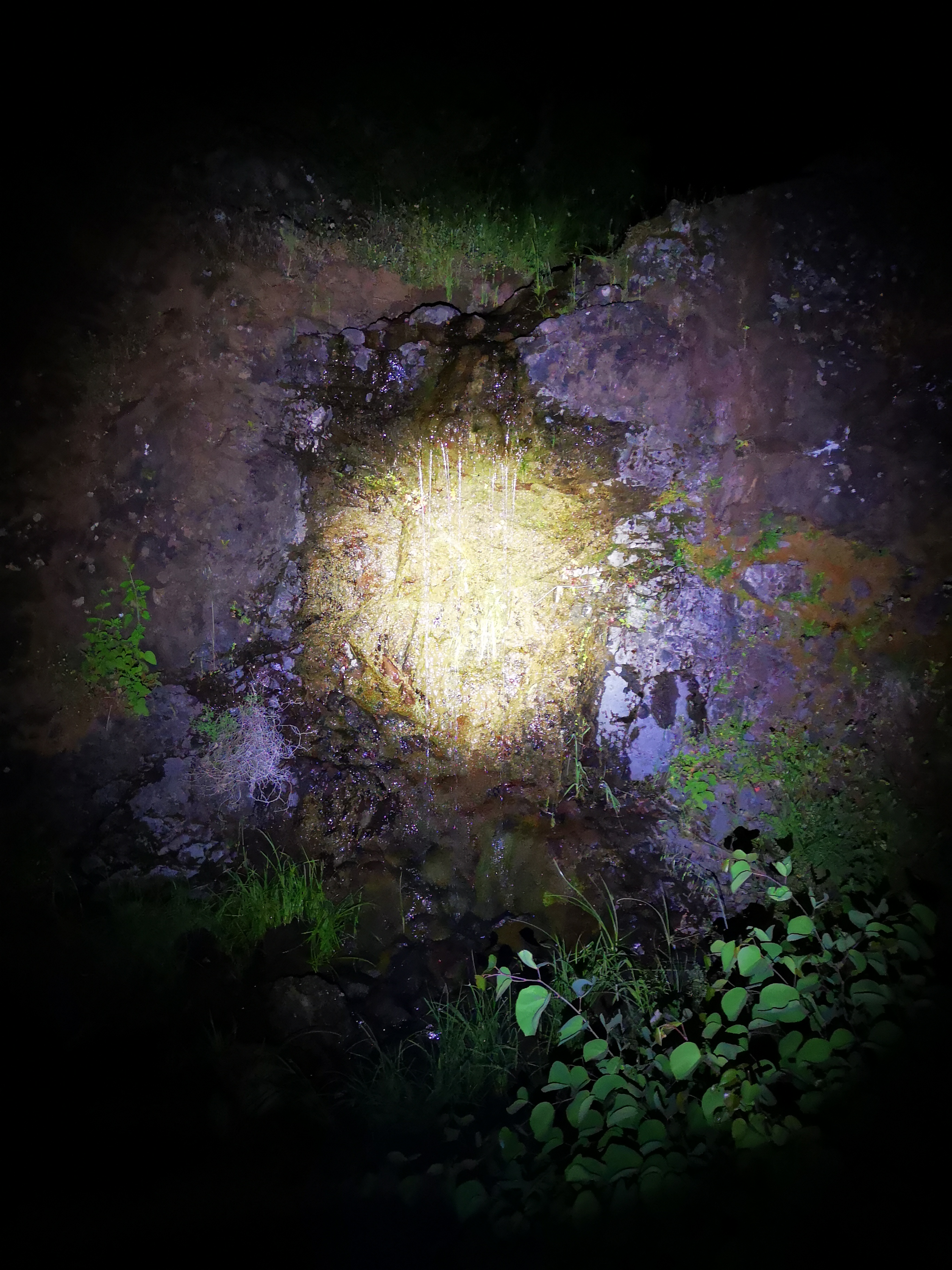 ÎÏÏÎ® Î· ÎµÎ¹ÎºÏÎ½Î± Î´ÎµÎ½ Î­ÏÎµÎ¹ Î¹Î´Î¹ÏÏÎ·ÏÎ± alt. Î¤Î¿ ÏÎ½Î¿Î¼Î± ÏÎ¿Ï Î±ÏÏÎµÎ¯Î¿Ï ÎµÎ¯Î½Î±Î¹ img_20190527_024815.jpg