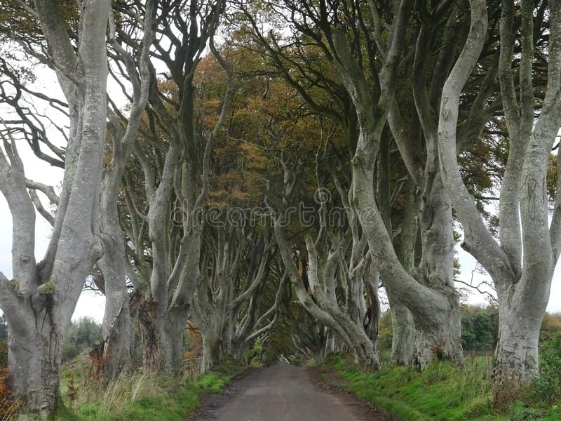 Τας λεωφόρους μη βαδίζειν. «Να μην βαδίζεις στις λεωφόρους (στους εύκολους δρόμους)» – Πυθαγόρα&nbsp;αποφθέγματα!