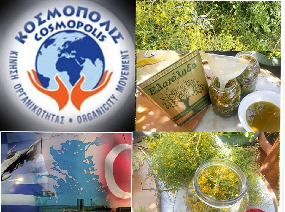 ΚΟΣΜΟΠΟΛΙΣ, ετήσια συνάντηση με τον Παναγιώτη Ήφαιστο, Μεταμορφωτικός Κριτικός Διάλογος, Συλλογή Σπαθόχορτου για&nbsp;Βαλσαμέλαιο